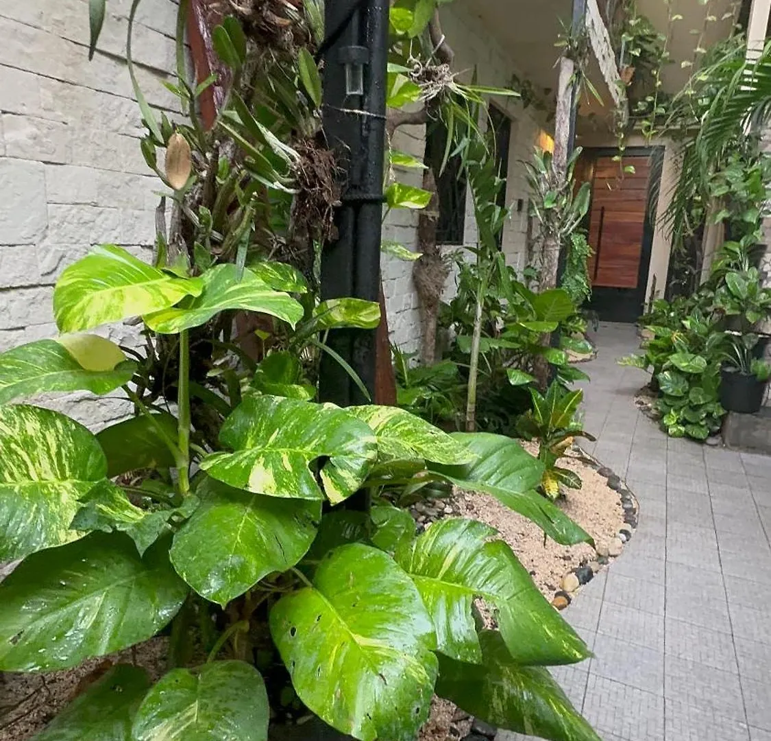 Apartment Estudio Nikte Tulum