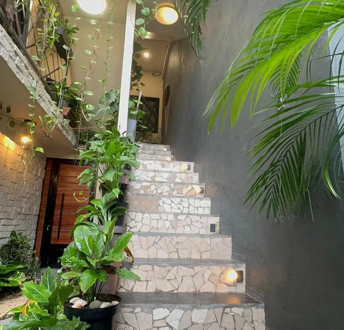 Estudio Nikte Tulum