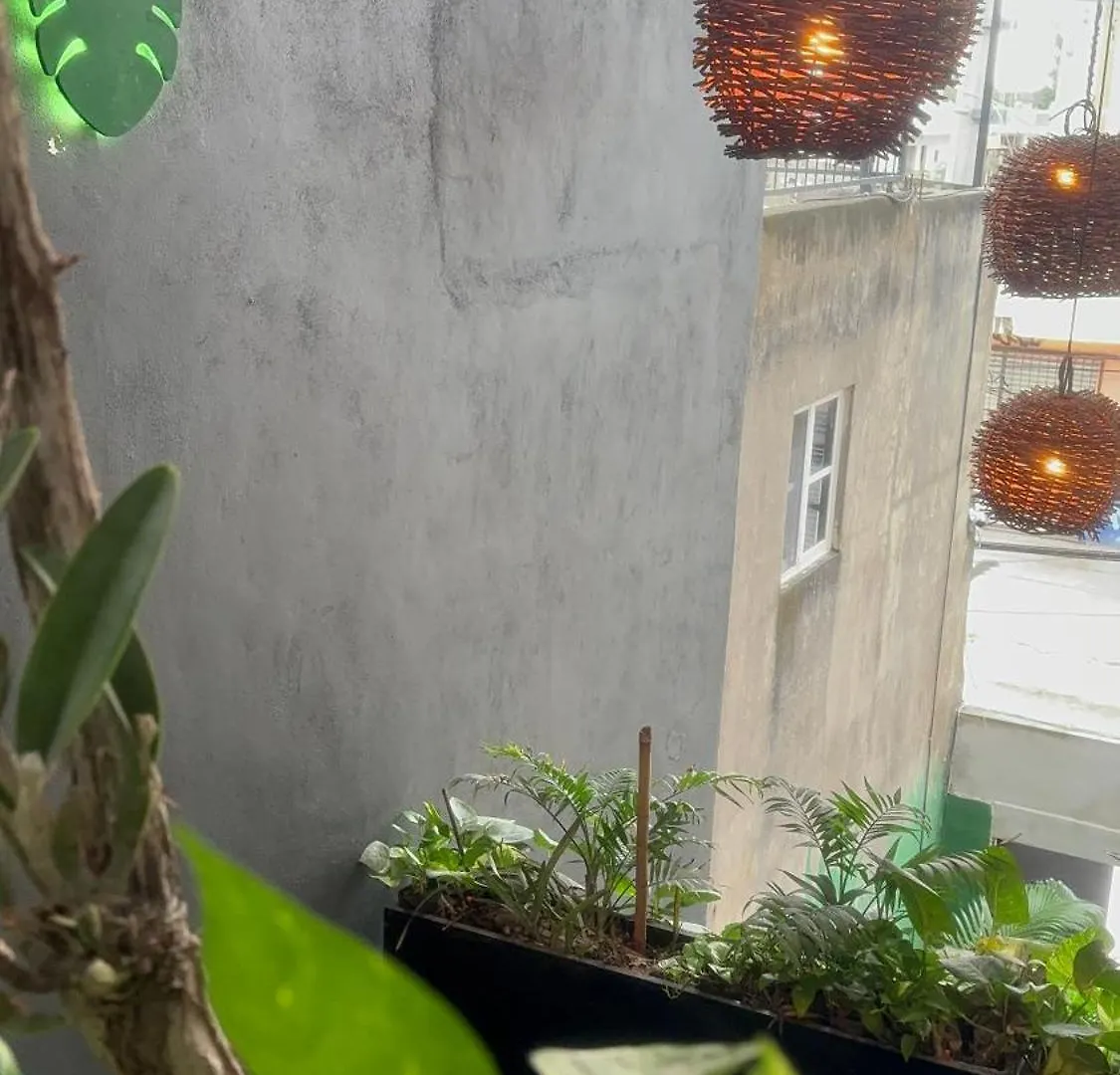 Estudio Nikte Tulum Mexico