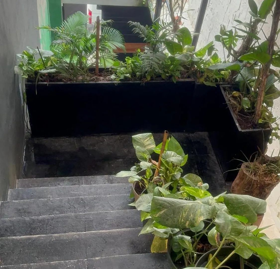 Apartment Estudio Nikte Tulum