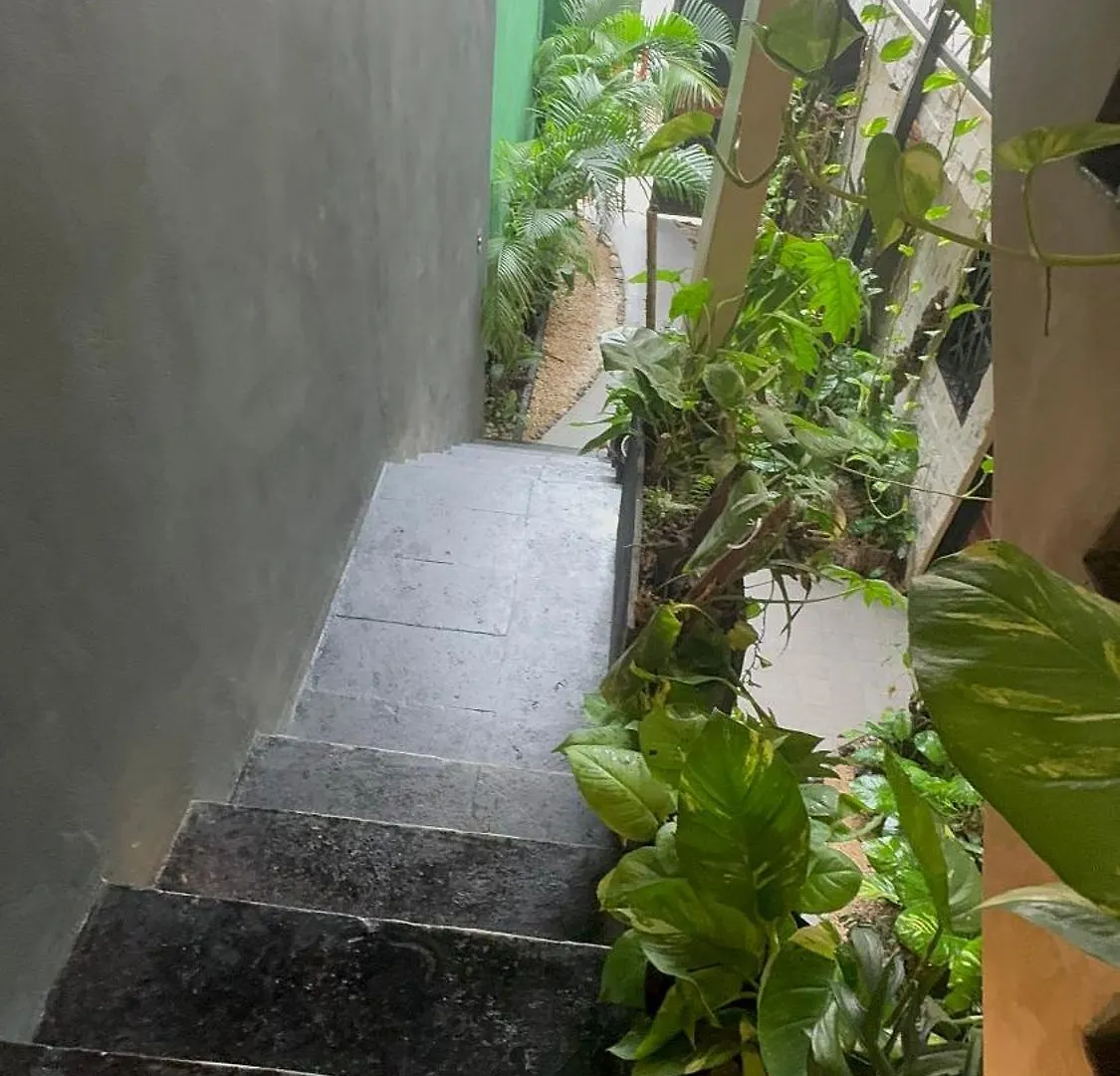 Estudio Nikte Tulum